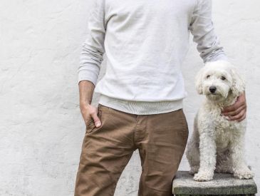 Hvornår er en hund gammel? Tjek din hunds alder